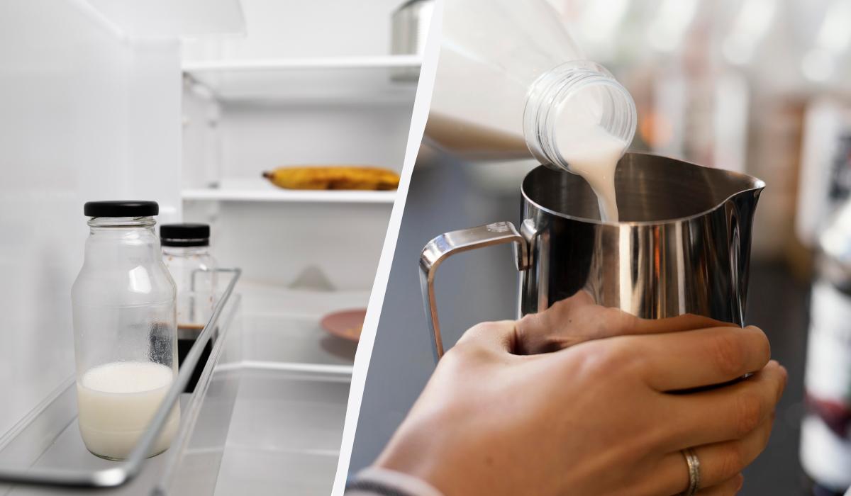 Где самая холодная полка в холодильнике