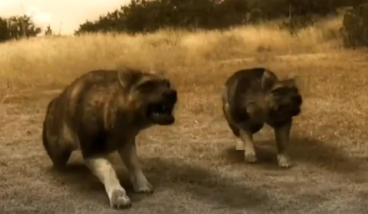 Эпиционы были прирожденными охотниками / фото - скриншот Эпиционы были прирожденными охотниками / фото - скриншот