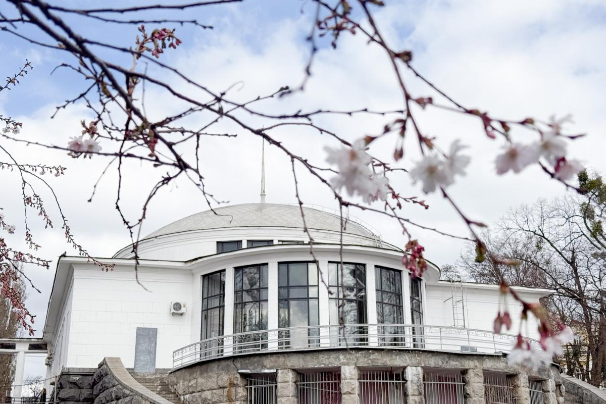 У Києві потеплішає аж до +18°: коли вдарить весняне тепло (графік)