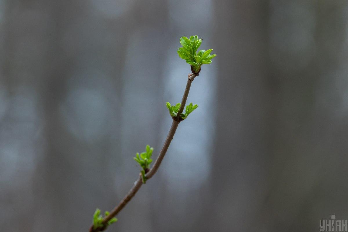 Приметы на сегодня 