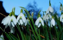 В среду в Украину ворвется 15-градусное тепло: где температура будет выше всего (карта)