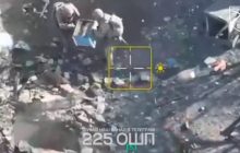 Українські військові застосували проти росіян справжніх "бойових" бджіл (відео)