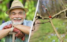 Лениться сегодня - большой грех: что ещё нельзя делать в праздник 5 марта 2025