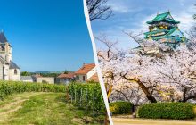 Від сакур до ігристого: названо найкращі місця на планеті для відвідування у квітні