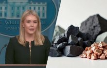 В Белом доме ответили, продолжаются ли переговоры о сделке по полезным ископаемым