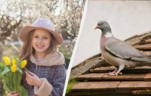 Не можна сваритися з близькими - будуть неприємності: заборони у свято 7 березня 2025