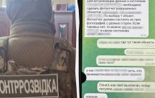 В Киеве задержали агентов ГРУ, которые пытались обесточить север Украины (фото)