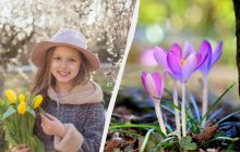 Що обов'язково потрібно зробити для достатку в домі: прикмета на свято 12 березня