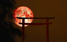 Кривавий Місяць і затемнення 14 березня 2025: похитне рівновагу чотирьох знаків Зодіаку