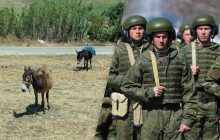 Росіяни часто використовують на війні коней і віслюків: у WSJ пояснили тактику ворога