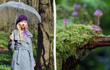 Потрапите у велику біду: що категорично заборонено робити 15 березня 2025