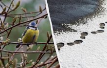 Грейтесь, пока есть возможность: синоптик предупредила о резкой смене погоды в Украине