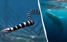 Полювала на китів та мала моторошний вигляд: що відомо про найбільшу морську змію у світі