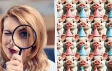 Надо найти двух особенных поросят за 7 секунд: увлекательная оптическая иллюзия