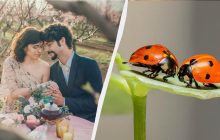 Це приверне любов у ваше життя: що обов'язково потрібно зробити 19 березня 2025