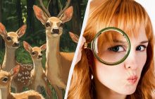 Усі бачать оленів, а треба знайти хитру козу за 6 секунд: цікава оптична ілюзія