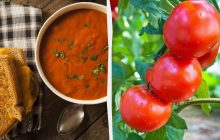 Рецепт томатного супу від власника ресторану, який готується на одному листі