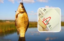 Місячний календар рибалки на квітень 2025: у які дні буде найкращий кльов (інфографіка)