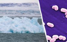 Світові можуть загрожувати спалахи невідомих раніше хвороб: біолог попередив про небезпеку