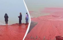 "Кровавый дождь" в Иране: ученые раскрыли причину необычного явления (видео)