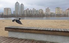 31 марта в Киеве будет пасмурно и влажно