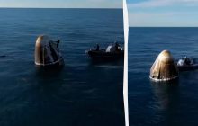 Астронавтів NASA на Землі зустріла зграя дельфінів (відео)