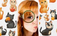 Усі бачать кошенят, і лиш люди з високим IQ знайдуть рибку: "котяча" головоломка