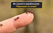 Як сказати українською "мурашки по коже": мовознавиця пояснила, який варіант правильний