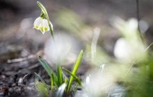 15 марта в Украине еще будет тепло, но есть неприятный нюанс