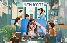 Кто владелец кота: быстрый тест для проверки уровня интеллекта