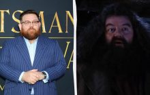 Назван актер, который может сыграть Рубеуса Хагрида в новом сериале о Гарри Поттере