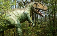 У Монголії виявили рештки нового виду динозаврів, який на диво мав лише два кігті