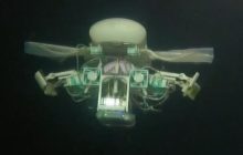 В Китае создали крошечного морского робота, который "выжил" на дне Марианской впадины