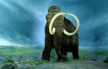 Кости мамонтов возрастом 25 000 лет пролили ученым свет на культуру древних людей