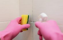 Что используют профессиональные уборщицы от грибка на швах между плитками: есть у каждого дома