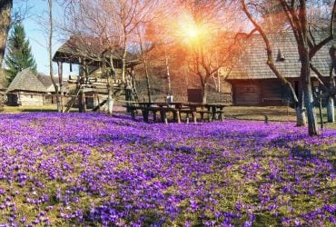 Квітуча Україна: чарівні ідеї для весняних подорожей