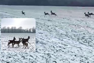 Українські захисники зняли на відео свободу: вражаючі кадри