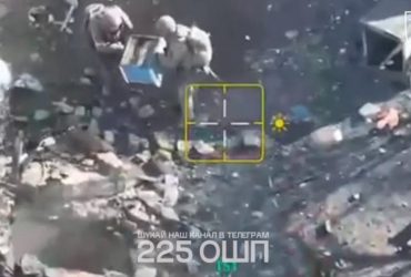 Українські військові застосували проти росіян справжніх бойових бджіл (відео)