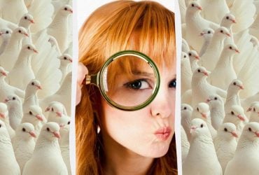 Не всі знайдуть дивака серед голубів за 5 секунд: казкова головоломка