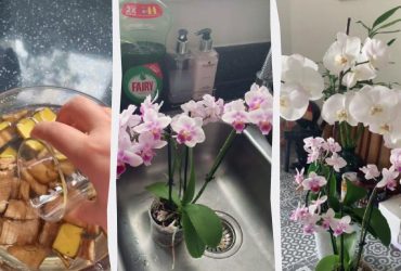 Цвітуть двічі на рік: садівниця поділилася незвичайним добривом для орхідей