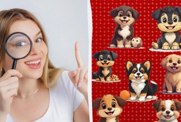 Усі бачать цуценят, а треба знайти кістку за 9 секунд: фантастична оптична ілюзія