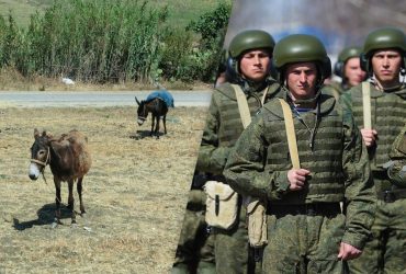 Россияне все чаще используют на войне лошадей и ослов: в WSJ объяснили тактику врага