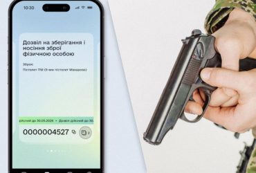 Сколько разрешений на оружие украинцы сгенерировали через 8 часов: Федоров назвал цифру