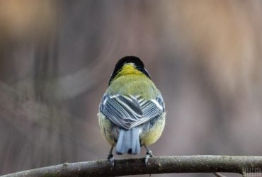 16 декабря осадки уйдут прочь и в Украине станет теплее