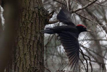 17 декабря в Украине будет пасмурно, но тепло