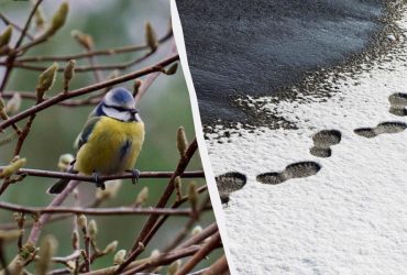 Грійтесь, поки є можливість: синоптикиня попередила про різку зміну погоди в Україні