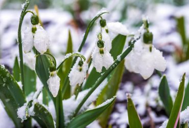 Сегодня в Украину зайдет холод с дождями и мокрым снегом (карта)