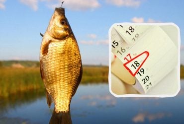 Лунный календарь рыболова на апрель 2025: в какие дни будет лучший клев (инфографика)