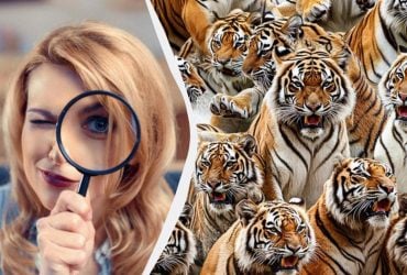 Треба мати зір 10/10, щоб знайти леопарда за 7 секунд: складна головоломка