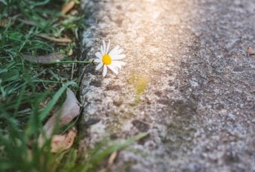 В Украину возвращаются заморозки: синоптик Диденко раскрыла детали